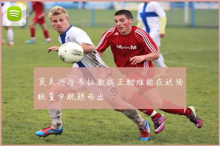 莫美洲与韦拉激战正酣谁能在这场较量中脱颖而出